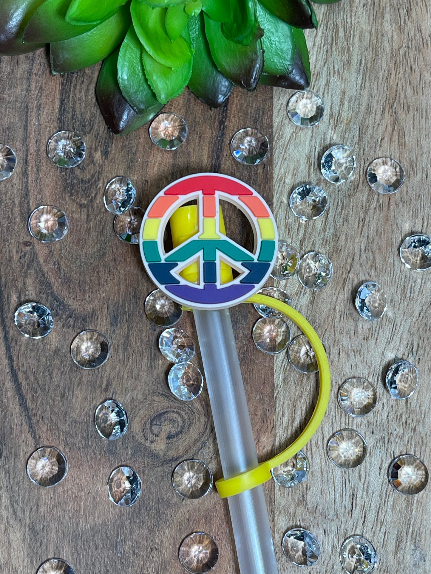 Rainbow Peace Straw Topper